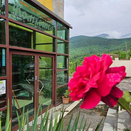 Family Hotel Komhotel Berkovitsa Εξωτερικό φωτογραφία