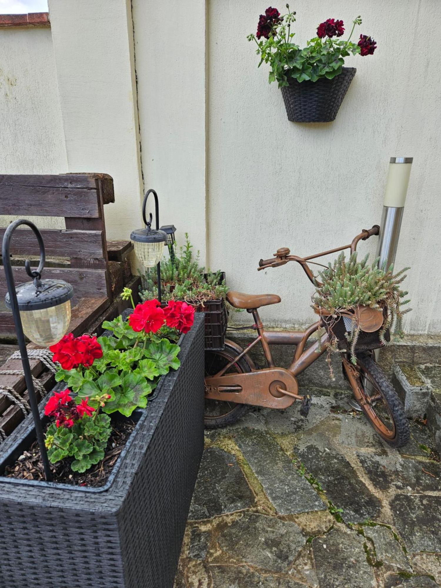 Family Hotel Komhotel Berkovitsa Εξωτερικό φωτογραφία
