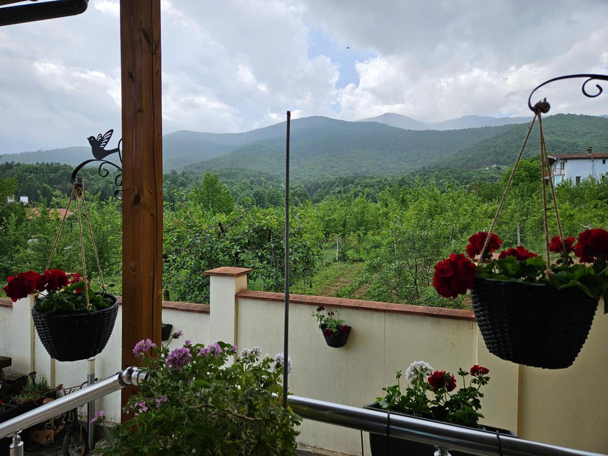Family Hotel Komhotel Berkovitsa Εξωτερικό φωτογραφία